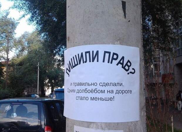 Забавные объявления, вывески, ценники