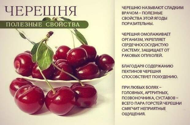 9 самых полезных продуктов для всего организма