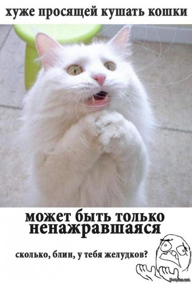Смешные комиксы и приколы. Подборка картинок