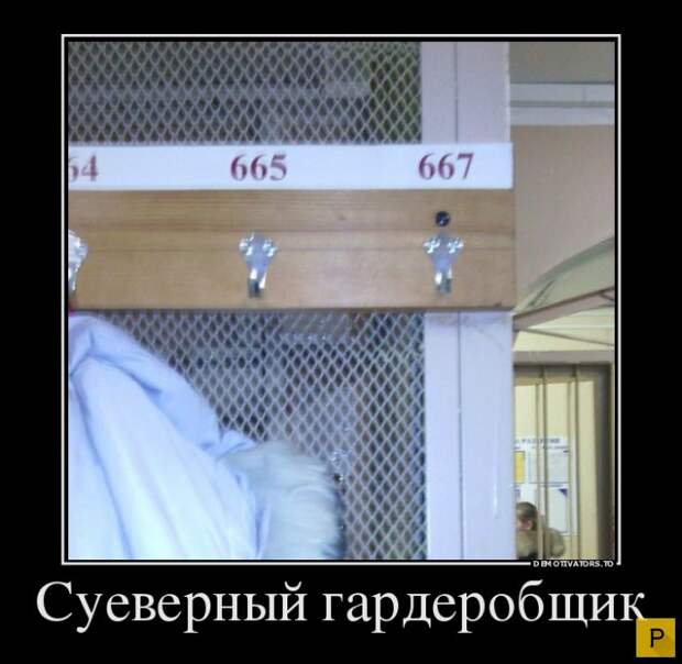 Зри в корень  (32 фото)