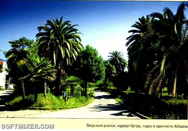 Абхазия Курорты Гагра 2009 Лев Толстой 4тыс -011