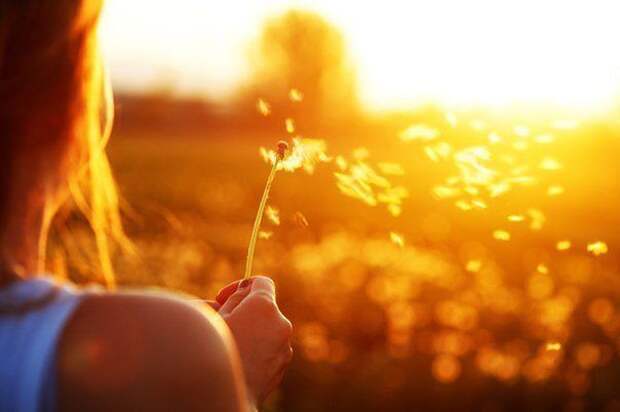 Интересные высказывания о жизни