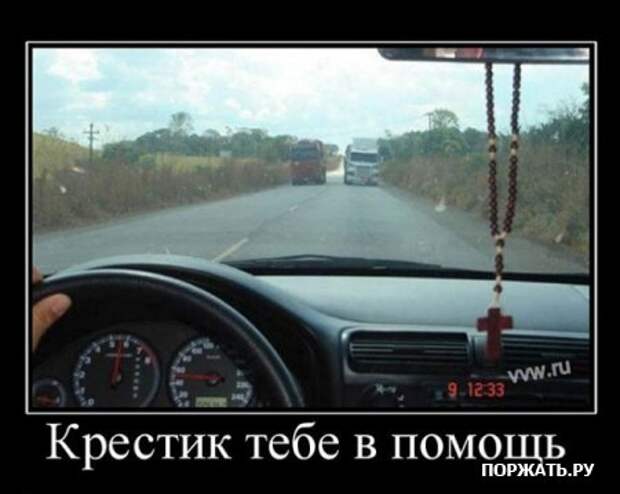 Демы (26 фото)