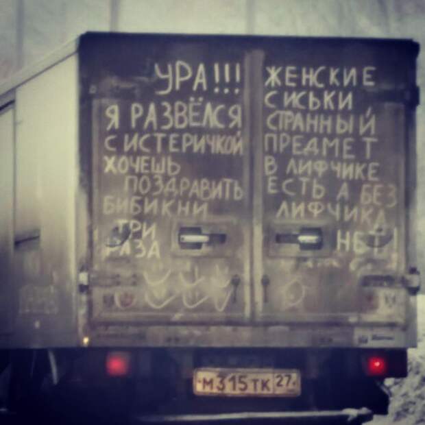 Сумасшедшая жизнь после развода Сумасшедшая жизнь после развода прикол, развод, юмор