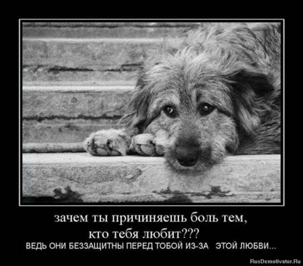 Демотиваторы о чувствах и любви.