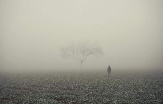 Восхитительные фотографии от Adrian Schiegl