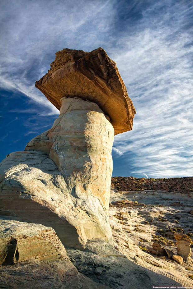 Каменные грибы из Аризоны