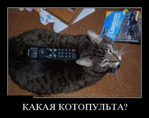 Демотиваторы демотиваторы