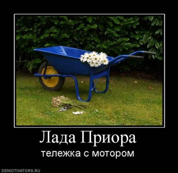 Демотиваторы прикольные ржачные.