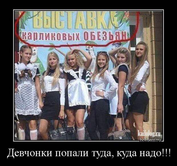 Прикольные демотиваторы про Россию - 232 (45 демок)