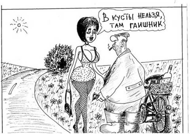 карикатура на гаишника в кустах