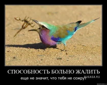 Улыбаемся!!!