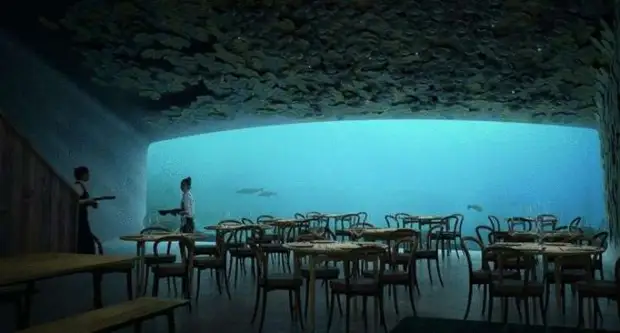 11 сказочных подводных ресторанов, которые надо посетить хотя бы раз в жизни