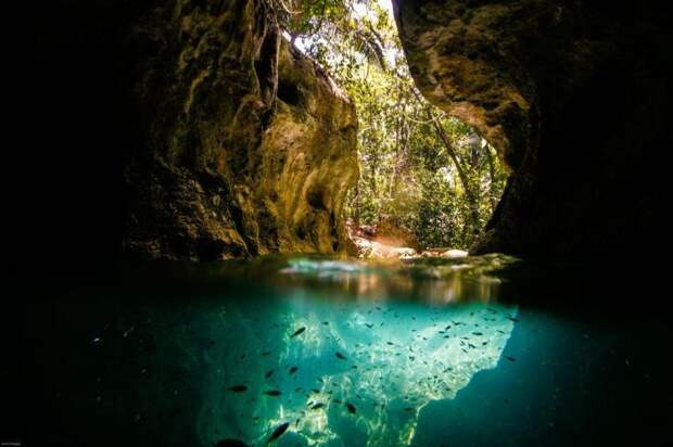 Лучшие фотографии за год фото, красота, особенность