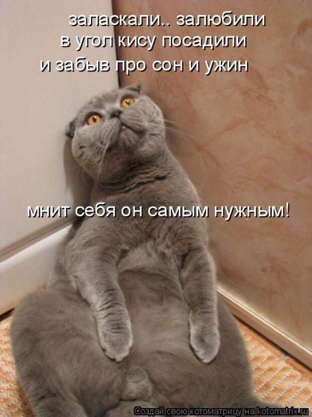 Мысли вслух :)