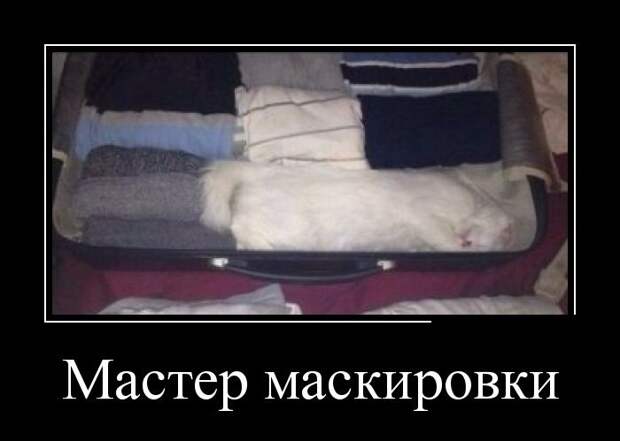 Демотиваторы  демотиваторы, прикол, смех, юмор