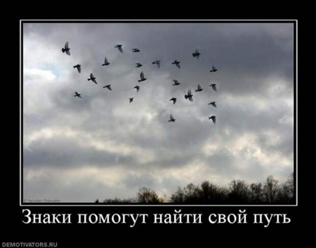 Демотиваторы только прикольные.