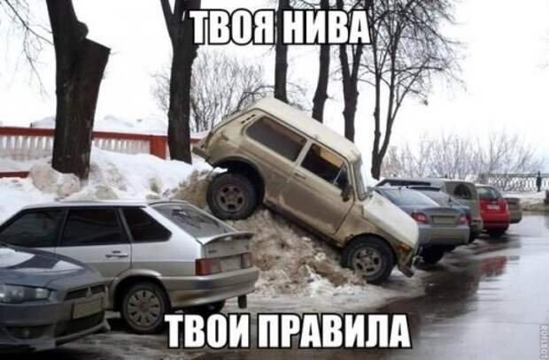 Прикольные картинки с подписями (23 шт)