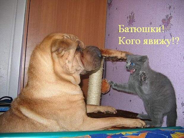 Давайте улыбаться вместе! :) (23улыбоки)