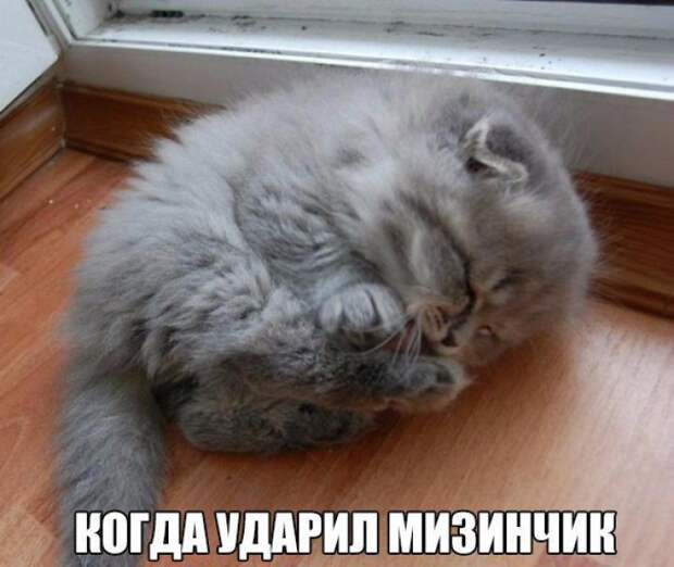 фото вызывающие приступы смеха 