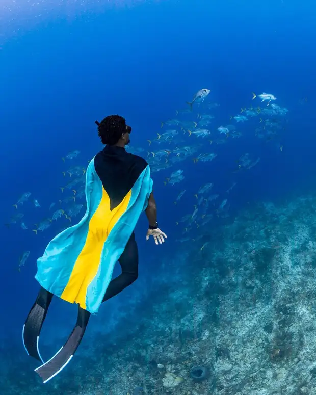 Андре Масгроув (André Musgrove) и его невероятные подводные снимки