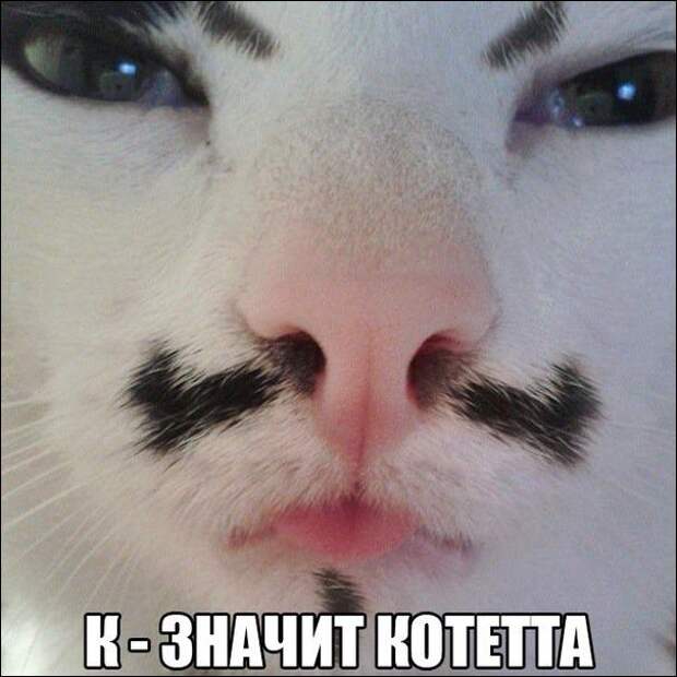 Комиксы и карикатуры