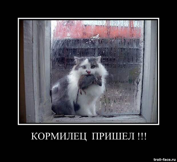 Демотиваторы демотиваторы, позитив