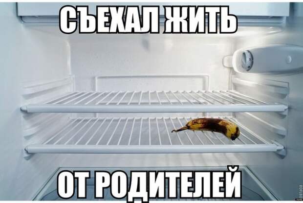 Смешные картинки с подписями катинки, прикол, юмор