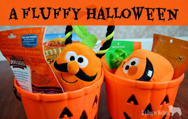 We're celebrating Halloween Great Pyrenees style with toys, treats, and costumes from PetSmart!