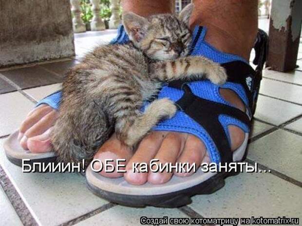 Мысли вслух :)