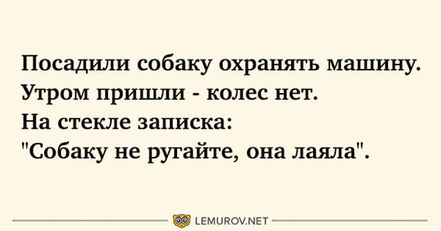 Как отодрать соску. Не ругайте собаку она честно лаяла.