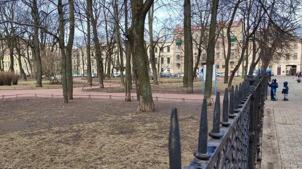 Парки, городские сады и скверы Петербурга закрыли на время шторма