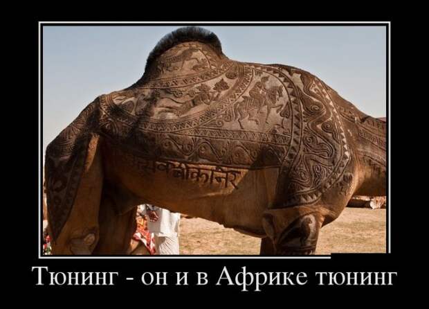 Забавные демотиваторы из нашей жизни (11 фото)