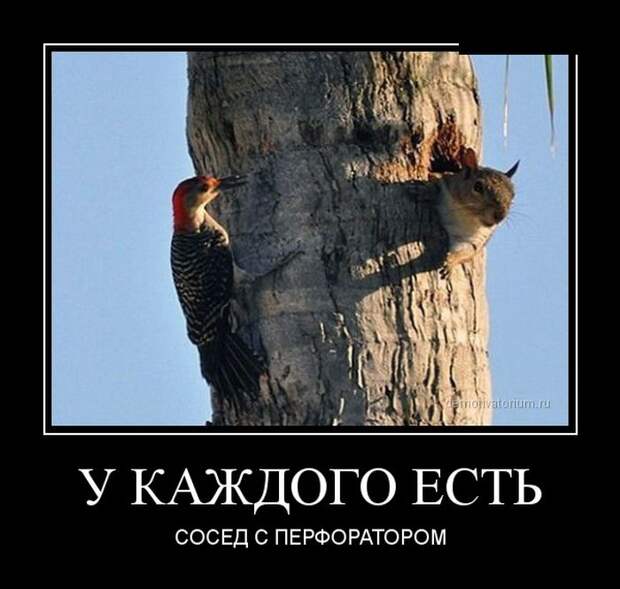 Демотиваторы №1106 (30 фото)