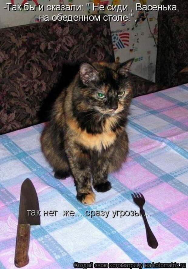 Котоматрицы :)