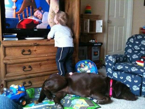 Идиотизм в картинках