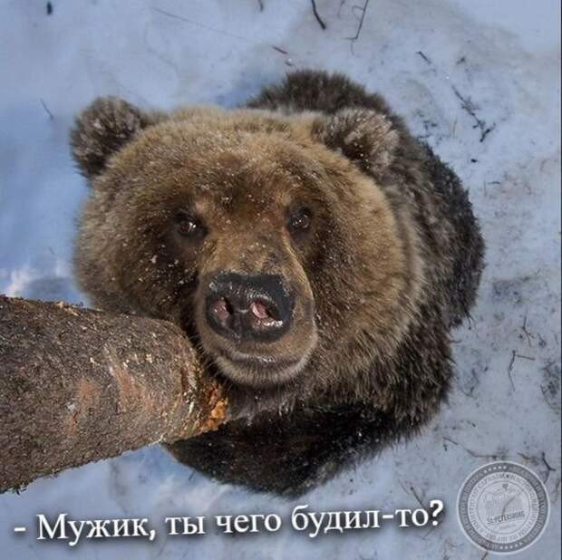 Мужик, ты чего будил-то?