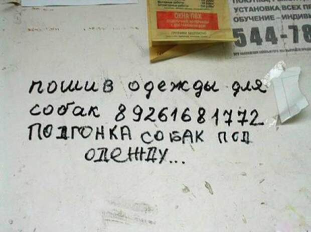 Забавные объявления на Поржать.