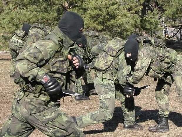 Русское мировоззрение: Бойцы «Альфа» и «Вымпел» раскрыли, в чем опасность русского воина для Запада