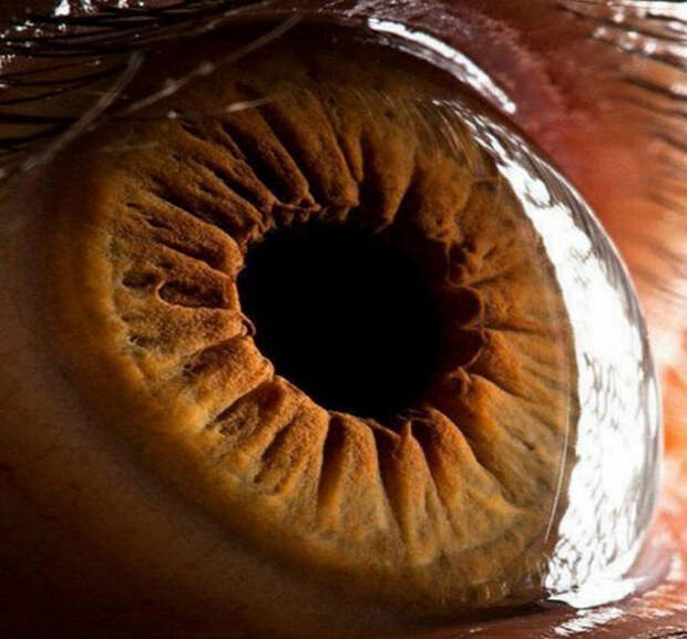 National Geographic об особенностях человеческого зрения