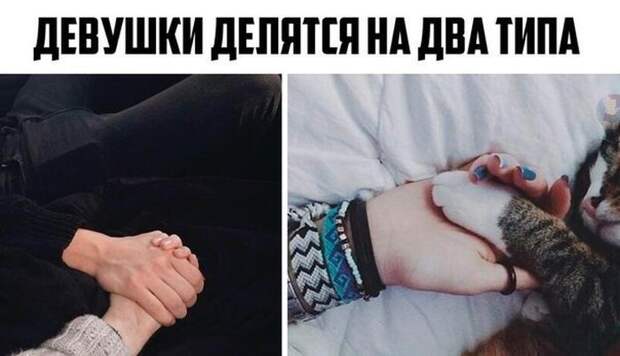 Прикольные картинки (92 фото)