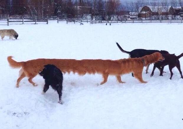 18 панорамных снимков, с которыми что-то не так