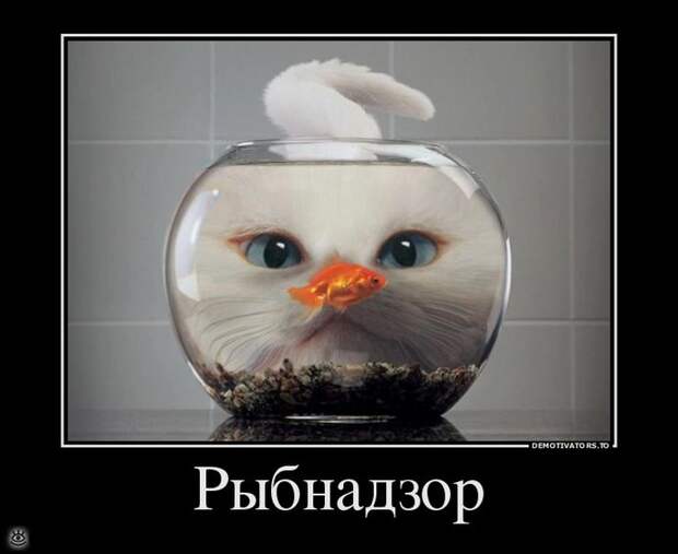 Будь реалистом! 0