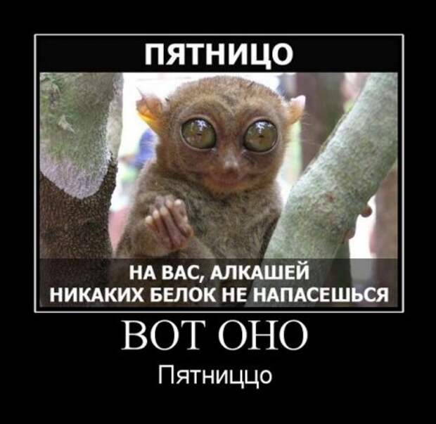 Тебя заберет пятниццо картинка