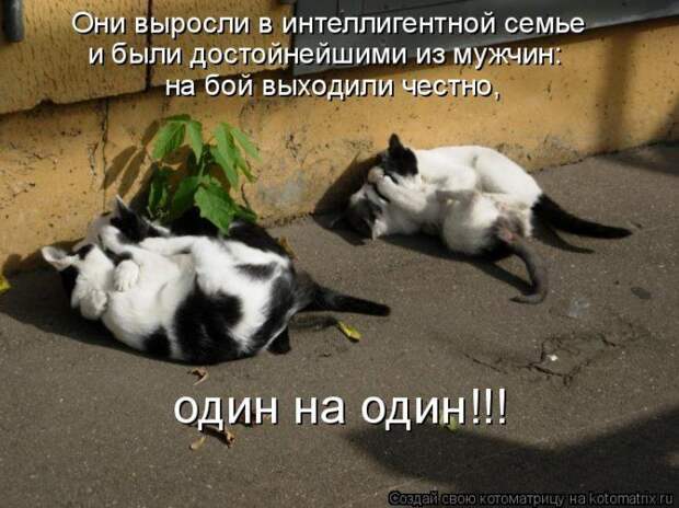 Мысли вслух :)