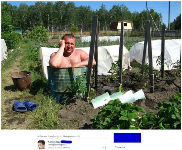 30 приколов из социальных сетей, которые точно развеселят