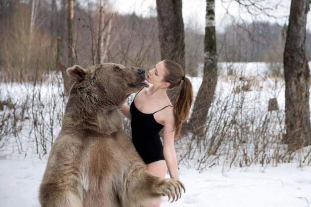 Фотографии моделей с 650-килограммовым медведем в заснеженном лесу медведь, фото