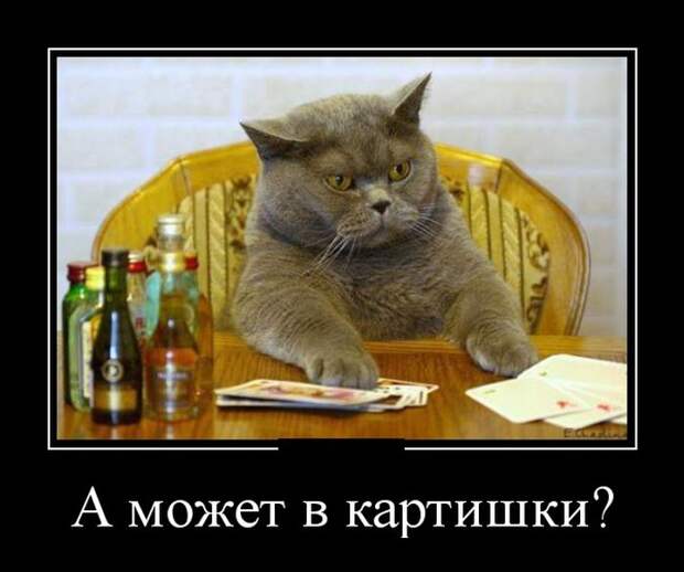 Демотиваторы (30 фото)