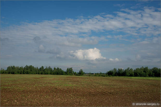 Русская природа - поле