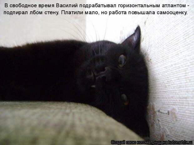 Котоматрицы :)